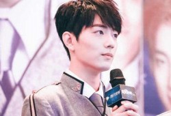 肖战和杨紫最新爆料2025,跨界合作引期待