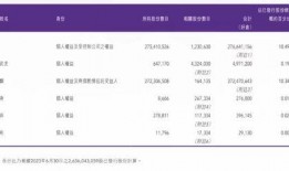 李宁内部爆料最新消息,揭秘品牌转型背后的秘密与挑战