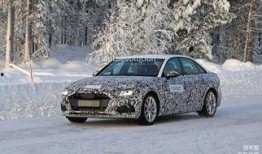 a4最新爆料,揭秘行业背后惊人内幕