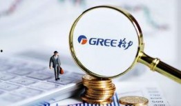 格力内部爆料网最新信息,揭秘格力电器最新动态与内部秘密