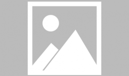 石家庄最新施工爆料公告,多区域施工动态一览