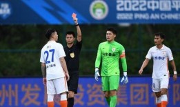 泰山郝伟爆料案件最新,揭秘背后惊人真相