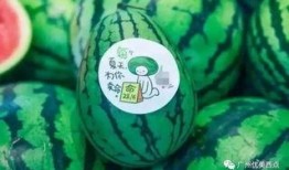 古茗吃瓜最新爆料图片,最新爆料图片揭秘幕后真相