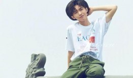 张逸杰最新动态爆料,揭秘他的星途新篇章