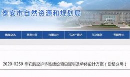 山东泰安爆料最新消息,最新爆料揭示惊人真相