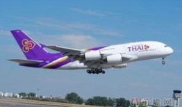泰国航空最新爆料,揭秘神秘机密与未来发展规划