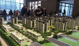 雷府最新爆料电话,最新爆料电话内容大曝光