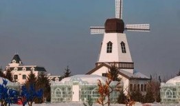 呼兰河口最新爆料,揭秘神秘事件背后的真相