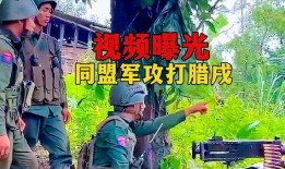 缅北最新爆料消息视频,视频揭露惊人内幕