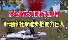 吃鸡国际服新枪爆料最新,全新枪械亮相！吃鸡国际服新枪爆料揭秘