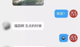 淄博最新爆料消息视频,视频揭秘城市新动态