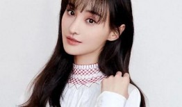 郑爽最新爆料事,揭秘明星背后的惊人真相