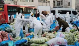 通化疫情最新爆料,追踪病毒变异与防控措施升级