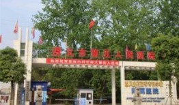 遵义医专爆料事件最新,揭开校园安全与管理的神秘面纱