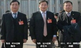 杨伟最新爆料视频,深度解析事件背后真相