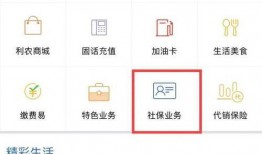 广西姓氏爆料最新消息查询,揭秘广西地区最新姓氏排行与家族传承故事