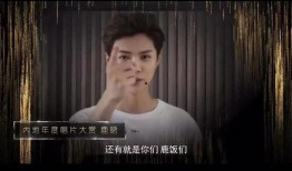 王伊泽爆料视频大全集最新,揭秘娱乐圈不为人知的秘密