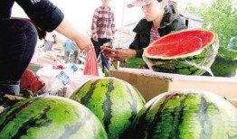 新瓜最新爆料兰州,揭秘城市背后的故事与秘密