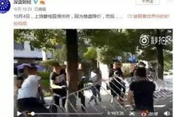 杭州小学爆料事件视频最新,惊人内幕曝光，家长震惊不已