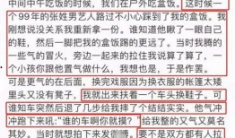 张逸杰最新动态爆料,揭秘他的星途新篇章
