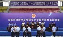 仙桃最新爆料事件新闻发布会,新闻发布会揭秘真相与进展