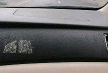 广州学车爆料事件最新进展,最新进展揭示惊人内幕