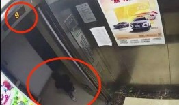 杭州爆料女孩事件视频最新,真相与争议交织的舆论漩涡