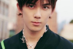 吴磊最新消息大爆料,揭秘演艺圈幕后真相