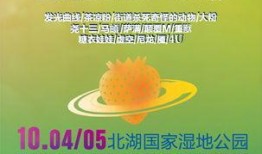 长春音乐节爆料最新消息