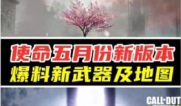 使命s2武器爆料最新版,全新版本震撼来袭，神秘武器等你揭秘！