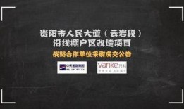 贵阳地产爆料事件最新,揭秘背后真相与行业反思