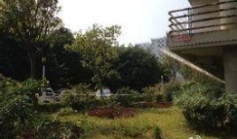 广州大学城爆料事件最新,揭秘校园疑云背后的真相