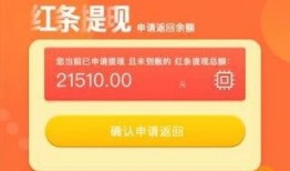 深圳网友爆料最新,最新事件引发热议！