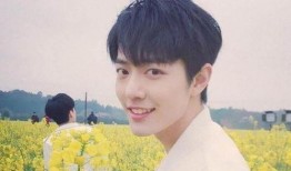 肖战和杨紫最新爆料2025,跨界合作引期待